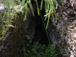 conco di Liricio-24-03-2013 12-09-05